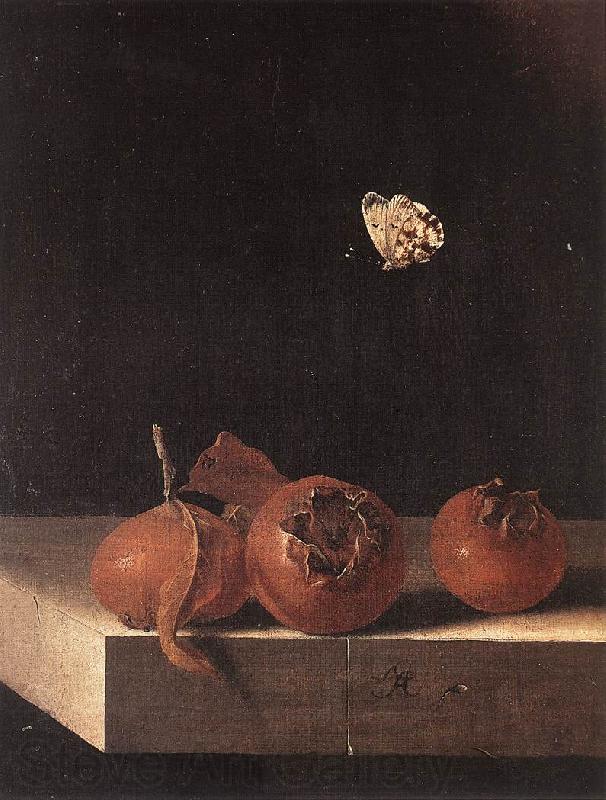 COORTE, Adriaen Three Medlars with a Butterfly zsdgf France oil painting art